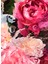 Aqua Allegoria Rosa Rossa Edt 75 ml Kadın Parfüm 4