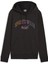 Ess+ Logo Lab Hoodie Fl 1
