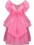 Liliana Pink Elbise 3