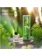 Bambu Aromalı Çubuklu Oda Spreyi – Zen Ferahlığı ve Kalıcı Etki (100 ml) 2