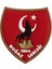 Tmt Boğaz Sancağı Patch Peç - 9X10 cm 1