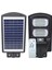 Solar Ledli Kumandalı 100 Watt Sokak Lambası (Ayağı Unutma) (5047) 1
