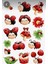 Uğur Böceği Sticker Telefon Laptop Notebook Tablet Defter Matara Stiker Etiket ST1470 1