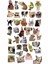 Kedi Sticker Telefon Laptop Notebook Tablet Defter Matara Stiker Etiket ST1411 1