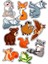 Sevimli Hayvanlar Sticker Telefon Laptop Notebook Tablet Defter Matara Stiker Etiket ST1187 1