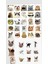Kedi Sticker Telefon Laptop Notebook Tablet Defter Matara Stiker Etiket ST1259 1