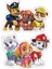 Paw Patrol Sticker Telefon Laptop Notebook Tablet Defter Matara Stiker Etiket ST619 1