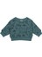 Hayvanlar Alemi Kapitone Sweatshirt 2