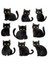 Kedi Sticker Telefon Laptop Notebook Tablet Defter Matara Stiker Etiket ST1615 1