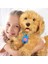 Nessiworld My Fuzzie Friends Sevimli Labrador Moji 18207 4