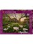 1000 Parçalık Calla Clearing Puzzle - Marc Adamus - Magic Forests 3