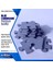 Puzzle - Uyuyan Güzel / 1000 Parça Puzzle, #1145 2