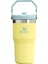 The Iceflow™ Flip Straw Tumbler 20 Oz | Pomelo Pipetli Termos Bardak 0,60 Litre 1