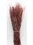 Kuru Çiçek Gerçek Şoklanmış Lavanta Kırmızı (100GR) 1