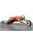 Yeşil Egzersiz Fitness Tekerleği CWA-2248, Sağlıklı ve Aktif Yaşam Için Ideal 2