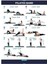 Siyah Elastik Pilates Bandı 4 kg - Güç ve Esneklik Artırıcı Seviye 4