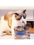 Sessiz Otomatik Pet Kedi Köpek Su Sebili Pınarı Çeşmesi Şelalesi 2l Büyük Kapasite Konforlu Sağlıklı 1