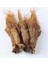%100 Doğal Ginseng Kökü 25 gr 3