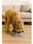 Kedi ve Köpek Yavaş Yeme Mama Kabı - Hızlı Yeme Engelleyici - Köpek Mama Kabı - 18 cm 2