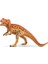 Ceratosaurus 3