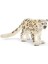 Kar Leoparı 3