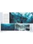 World: The Ultimate Visual History 3