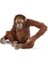 14775 - Orang-Utan Şekli Figür 2