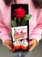 Dogum Gunu Hediye Ese Hediye Sevgiliye Hediye Kiz Arkadasa Kırmızı Gül ve Kinder Joy Yumurtalar 1
