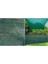 Yeşil Gölgelik File 2x4 Metre, %75 Oranlı, Kolon Dikimli, Kuşgözü Detaylı 2