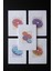 Enerjik Donutlar 5'li Defter Seti - Çizgisiz - Her Biri 56 Sayfa - 14X20CM - Iplik Dikişli Cilt 2