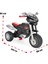 07 322 Pilsan Desert Eagle Pedallı Motosiklet 2