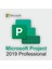 Project 2019 Professional Dijital Lisans Anahtarı 1