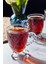 4'lü Cam Ayaklı Kulplu Çay Kahve Bardağı 200ML Turuncu Set 3