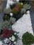 Beyaz Dolomit Taş 10 kg 1-2 cm Dere Çakıl Taşı Bahçe ve Teraryum Süs Taşı 5