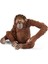 14775 - Orang-Utan Şekli Figür 1