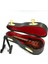 Mini Elektrik Gitar Modeli Minyatür Dekorasyon Müzik Aletleri Kılıf ve Stand Ile, 12CM (Yurt Dışından) 2