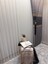 Nivemeshome Şimal Gümüş Detaylı 1/3 Sık Pileli Tül Perde Apm 4