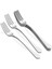 Şık 6'lı 18/10 Gümüş Tatlı Çatal Seti 2
