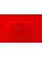 Castle Kum Boyama Kumu- 1000 Gram RK1000-14-P 1