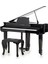 Speyer Serisi AG30S Grand Piyano 1