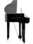 Speyer Serisi AG30S Grand Piyano 4