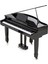 Speyer Serisi AG30S Grand Piyano 9