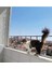 Dayanıklı 1X5M Plastik Balkon ve Bahçe Tel Ağ, Kuş ve Kedi Güvenliği Için Mükemmel 4