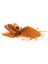 Dökme Baharat Toz Tarçın - 250 gr 1