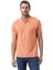Klasik Polo Yaka T-Shirt 1