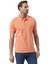 Klasik Polo Yaka T-Shirt 2