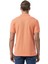 Klasik Polo Yaka T-Shirt 4