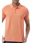 Klasik Polo Yaka T-Shirt 5