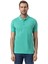 Klasik Polo Yaka T-Shirt 1
