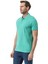 Klasik Polo Yaka T-Shirt 2